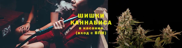 дурь Белокуриха