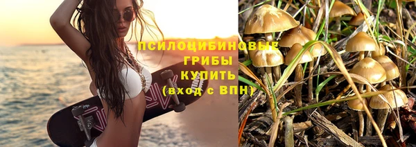 дурь Белокуриха
